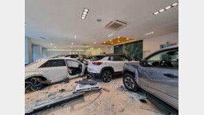 전기차 택시 붕 떠올라 車매장에 쾅…5명 병원 이송