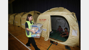 홍성 등 5개 시·군 산불 특별재난지역 선포…“14일까지 지원금 신청”