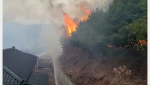산불로 1632㏊ 소실 충남 5개 시군 ‘특별재난지역’ 선포