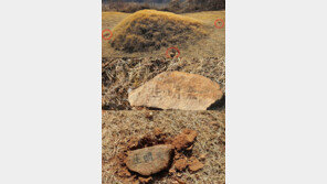 이재명 선친묘소 훼손 반전…“문중이 기(氣) 보충한 것” 