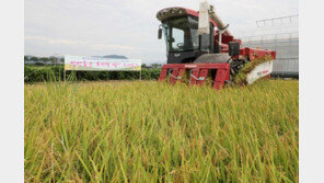 벼 재배면적 5년 내 61.8만ha까지 감축…폭락한 쌀값은 올해 11% 이상 인상