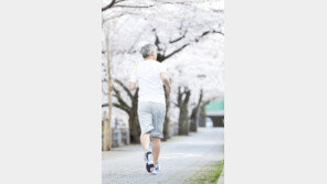 꼬부랑 할머니는 옛말…우리나라 고령자 10명 중 8명 허리 ‘꼿꼿’