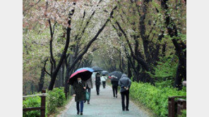 초여름 같더니, 다시 기온 영하로 뚝↓…주말까지 추워