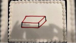 “이렇게 만들어주세요” 그림 그려 줬더니…황당 맞춤 케이크