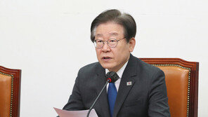 이재명 대표 직무정지 가처분 심문기일 내달 4일 열려