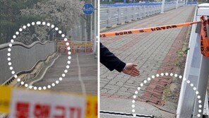 정자교 인근 2곳 침하돼 추가통제… 탄천 다리 16곳중 9곳 C등급 