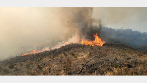 ‘산불 피해’ 특별재난지역 입대 대상자, 입영일자 미룰 수 있다