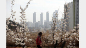 반짝 ‘꽃샘추위’-미세먼지 차차 물러나…일요일에는 나들이 하세요