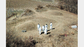 이재명 부모 묘소 “문중에서 기 보충” 주장 강진 거주 80대 경찰 조사