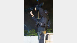 엑스포 유치기원 불꽃쇼 상공에 미승인 드론 날린 30대 적발