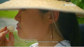 후쿠시마 복숭아 먹고 “색 예쁘고 맛있다”…우주인 이소연 日다큐 출연 이유?