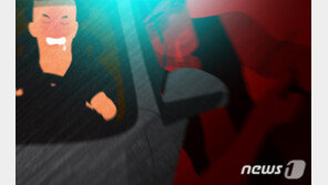 필로폰 적발되자 도심 역주행 도망…잡고보니 차 안에 주사기 34개