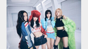 블핑 암표가 1700만원?… 대만, 암표 걸리면 최대 50배 벌금