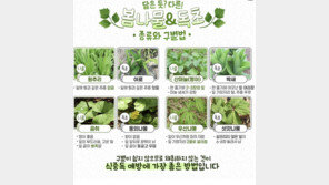 “봄나물인줄 알았는데…” 봄철 독성식물 식중독 주의보