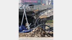 붕괴 정자교·통제 수내교·불정교 모두 한 회사가 설계