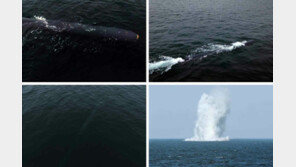 北 “핵어뢰 ‘해일-2형’, 잠항 시간·거리 늘어나…南 모든 항구 타격권”