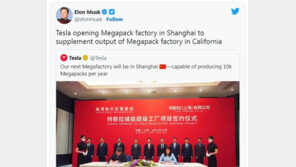 애플은 중국에서 발빼는데 테슬라는 중국에 ‘올인’