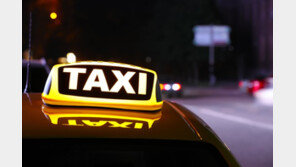 고속도로서 왜 내렸나? 택시 승객, 뒷차에 치여 숨져