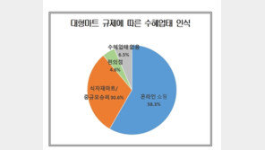 “대형마트 의무휴업, 전통시장에 도움 안돼…온라인쇼핑이 수혜”