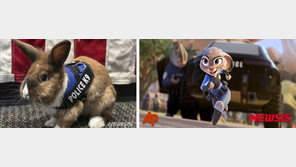 현실판 ‘주토피아’…美경찰, 부활절 맞아 ‘토끼 경찰’ 임명