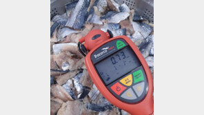 “먹거리 안전 지킨다”…성동구, 학교 급식 방사능 측정