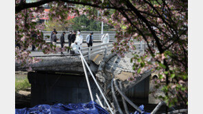 ‘정자교 붕괴’ 서울도 안심 못 한다…30년 넘은 교량 282개