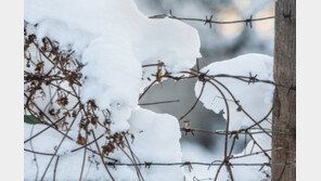 혹한기 훈련중 숨진 이등병…‘사인 불명’으로 수사 종결