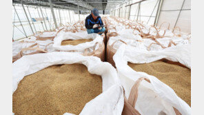 [단독]文정부, 쌀 매입·재판매에 세금 4조3000억 원 썼다