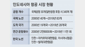 “韓∼인니 황금알 노선 잡아라” 항공사들 경쟁… LCC도 가세