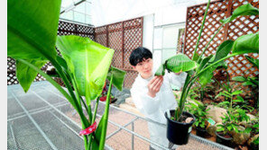 “반려식물 아프면 병원으로 오세요”