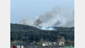 ‘초속 29m’ 강풍에 강릉 ‘산불 2단계’ 발령…주민 긴급 대피