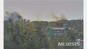 강릉 산불 강풍 타고 확산…안전차관 “가용자원 신속 투입”