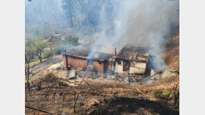 강릉 난곡동 인근 초토화…경포대 송림 숲으로 번져