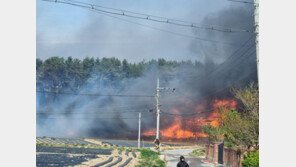 행안부 “강릉 산불, 가용자원 신속 투입…피해 최소화” 지시