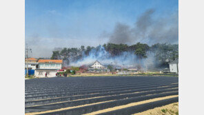 강원 동해안 3개 시군 11개교 ‘휴업 또는 단축수업’…산불·강풍 영향