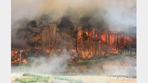 강릉 산불, 오후 비 소식 기다린다…피해면적 170ha↑