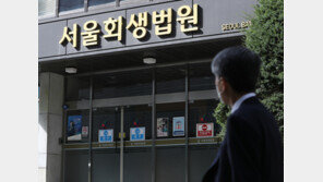 ‘범현대家’ 노현정 남편 건설사 ‘HN’ 회생절차 개시