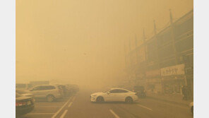 민주, 강릉 산불에 “인명 피해 없게 대응해 달라”