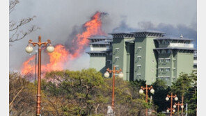 강릉 산불 피해 눈덩이…산불영향구역 370㏊에 진화율 10%