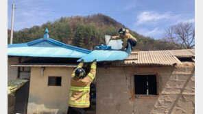 울진서 순간풍속 초속 50m 태풍급 강풍에 지붕·간판 떨어져…피해 23건