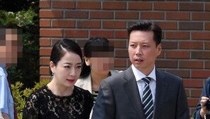 ‘범현대家’ 노현정 남편 정대선 최대주주 건설사, 회생절차 개시