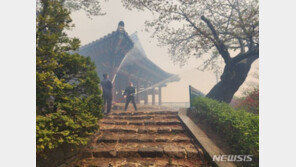 강릉 산불 총력전에 단비까지…진화율 65%