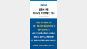 코레일, 동해안 지역 강풍에 영동선 열차 운행 조정