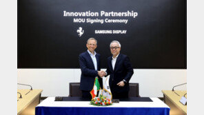 페라리에 ‘삼성 OLED’ 들어간다…최주선 “전장 사업 강화”