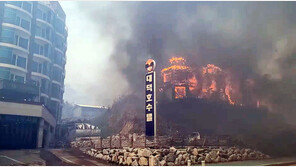 강릉산불에…‘휴업 또는 단축수업’ 학교 20곳 넘어