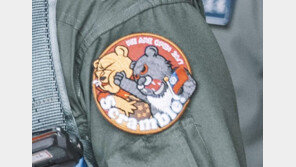 ‘곰돌이 푸’ 얻어맞는 견장 대만서 인기…시진핑 풍자에 주문 폭증