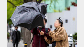 간판 떨어지고 전신주 쓰러져…전국 곳곳 강풍 피해