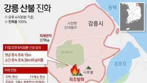 강릉산불 우려보다 빠른 진화…잦아든 바람·헬기투입·지형 등 3박자