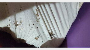 “모텔 침구에 벌레가 득실”…사장 “환불 안 된다”