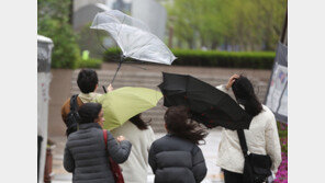서울 강풍주의보 해제…강풍피해 46건·경상 2명(종합2보)